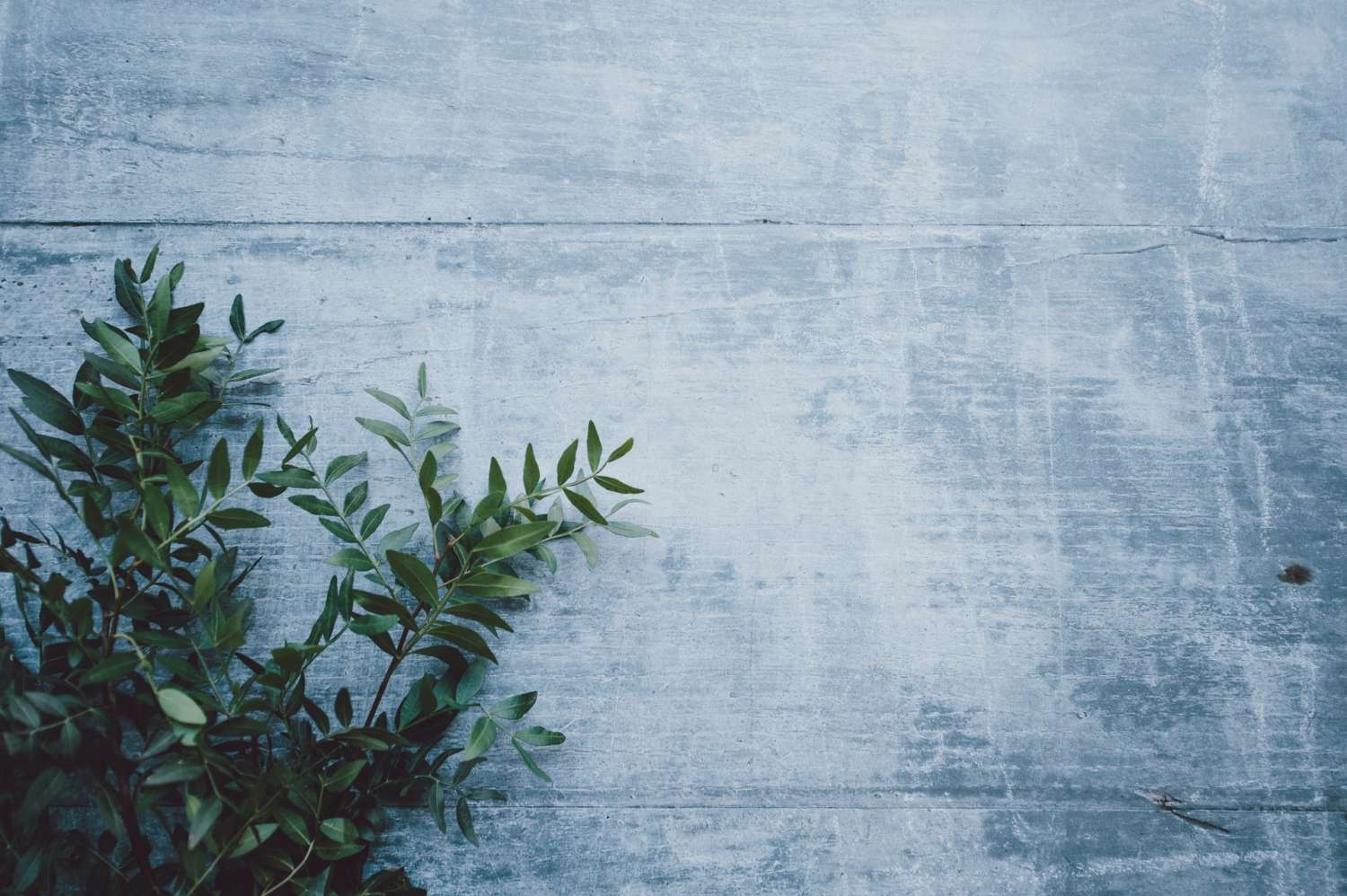 annie spratt 0pWdKDGal7I unsplash