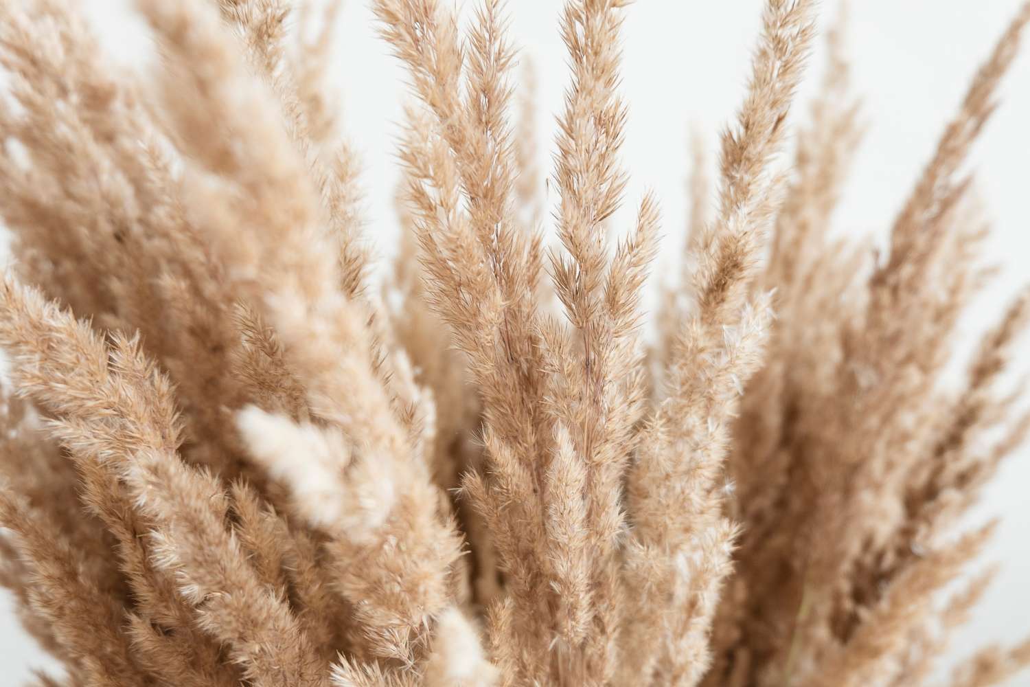 katsia jazwinska dxiFrXpcyCA unsplash